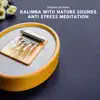 Thomas Skymund - Kalimba with Nature Sounds, Anti Stress Meditation